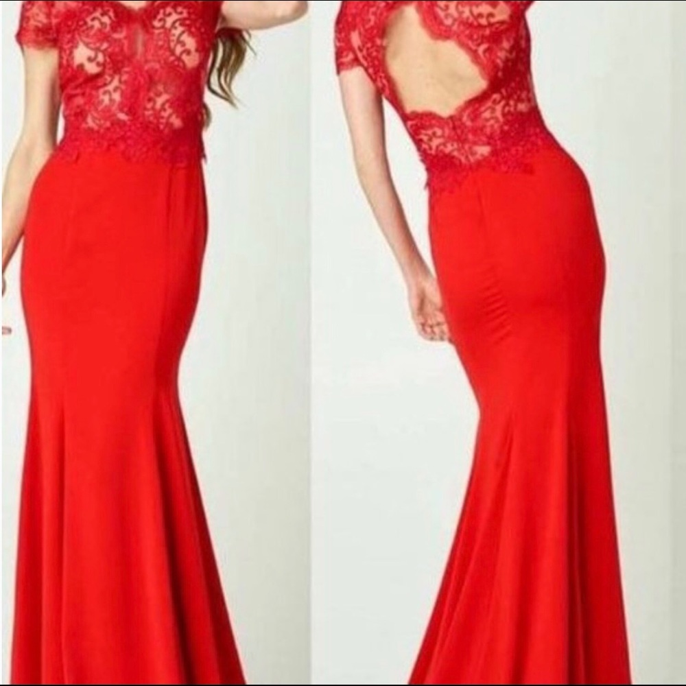 AIDA by Nicole Baltic Red Dress